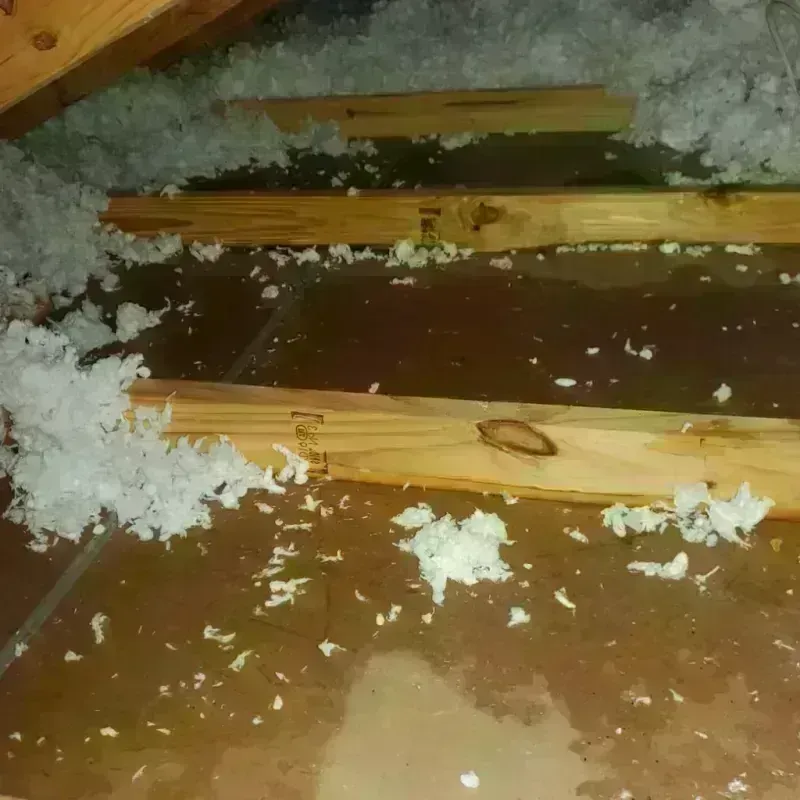 Attic Water Damage in McKean County, PA